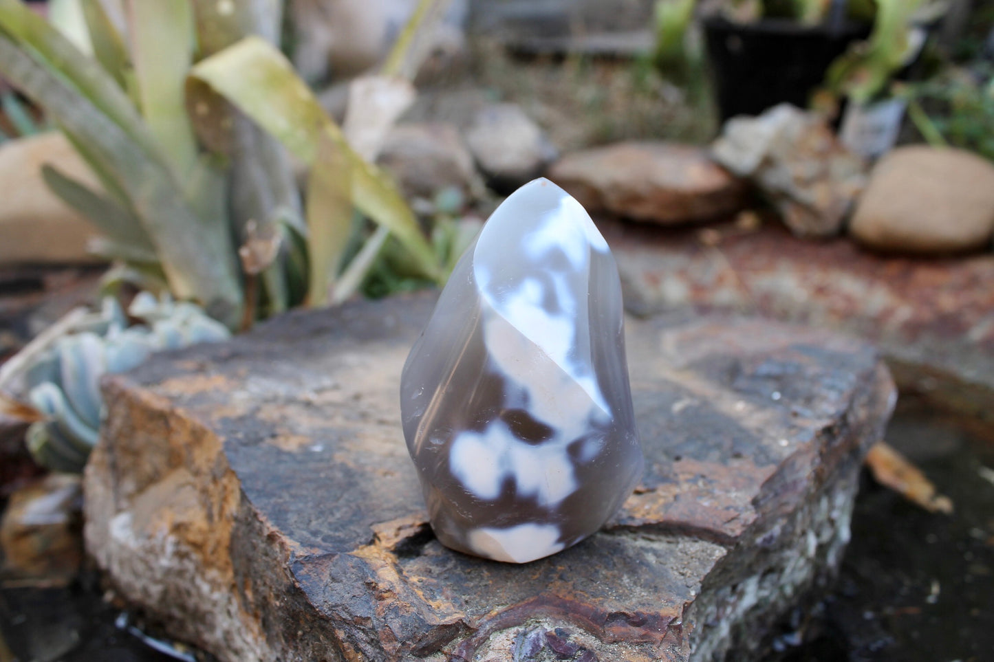 Orca crystal flame