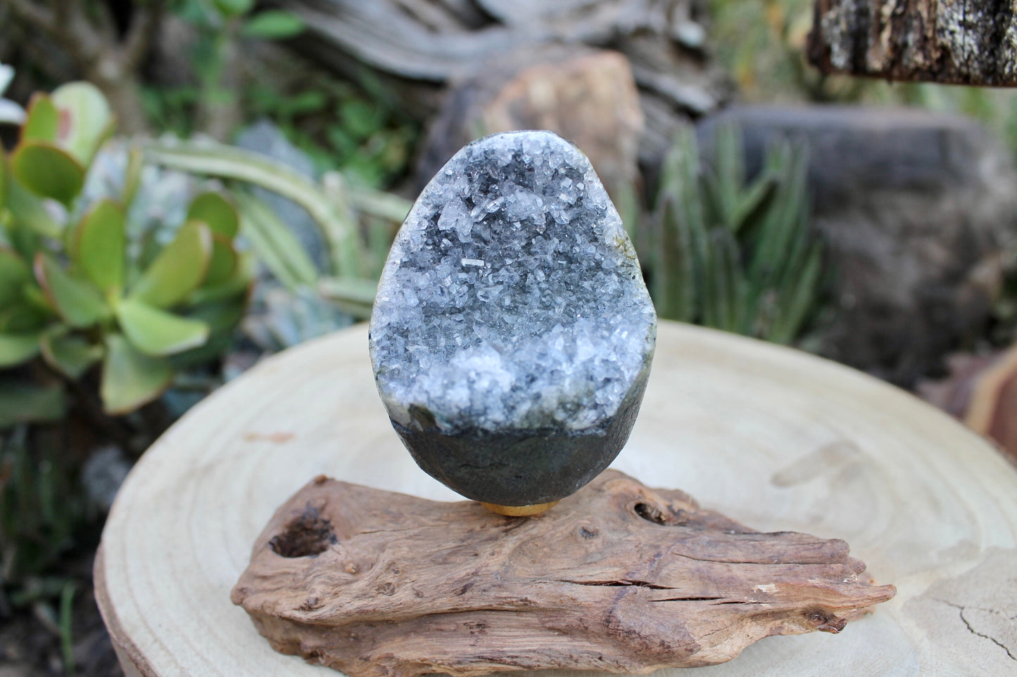 Drift wood sphere stand