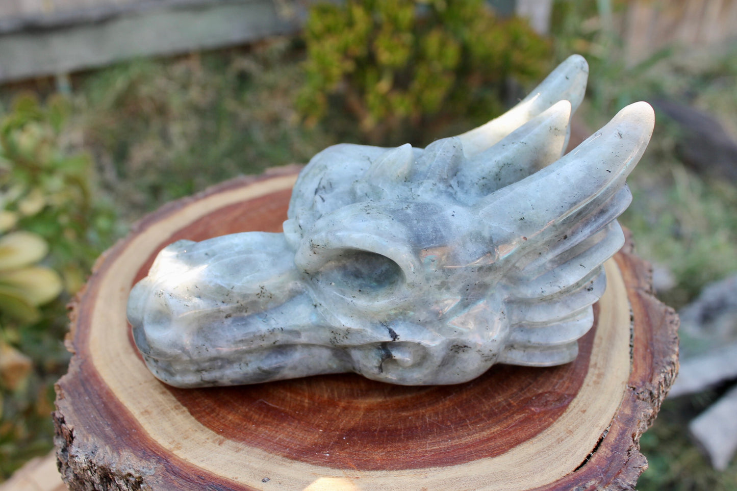 Labradorite crystal dragon head 0.9kg