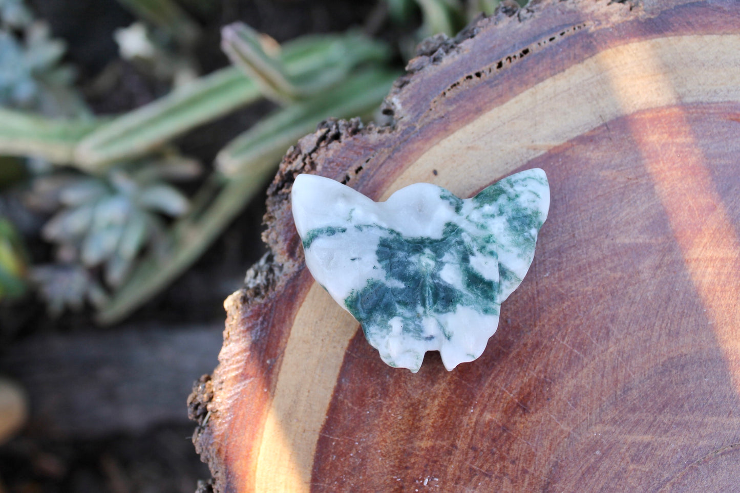 Tree agate crystal butterfly