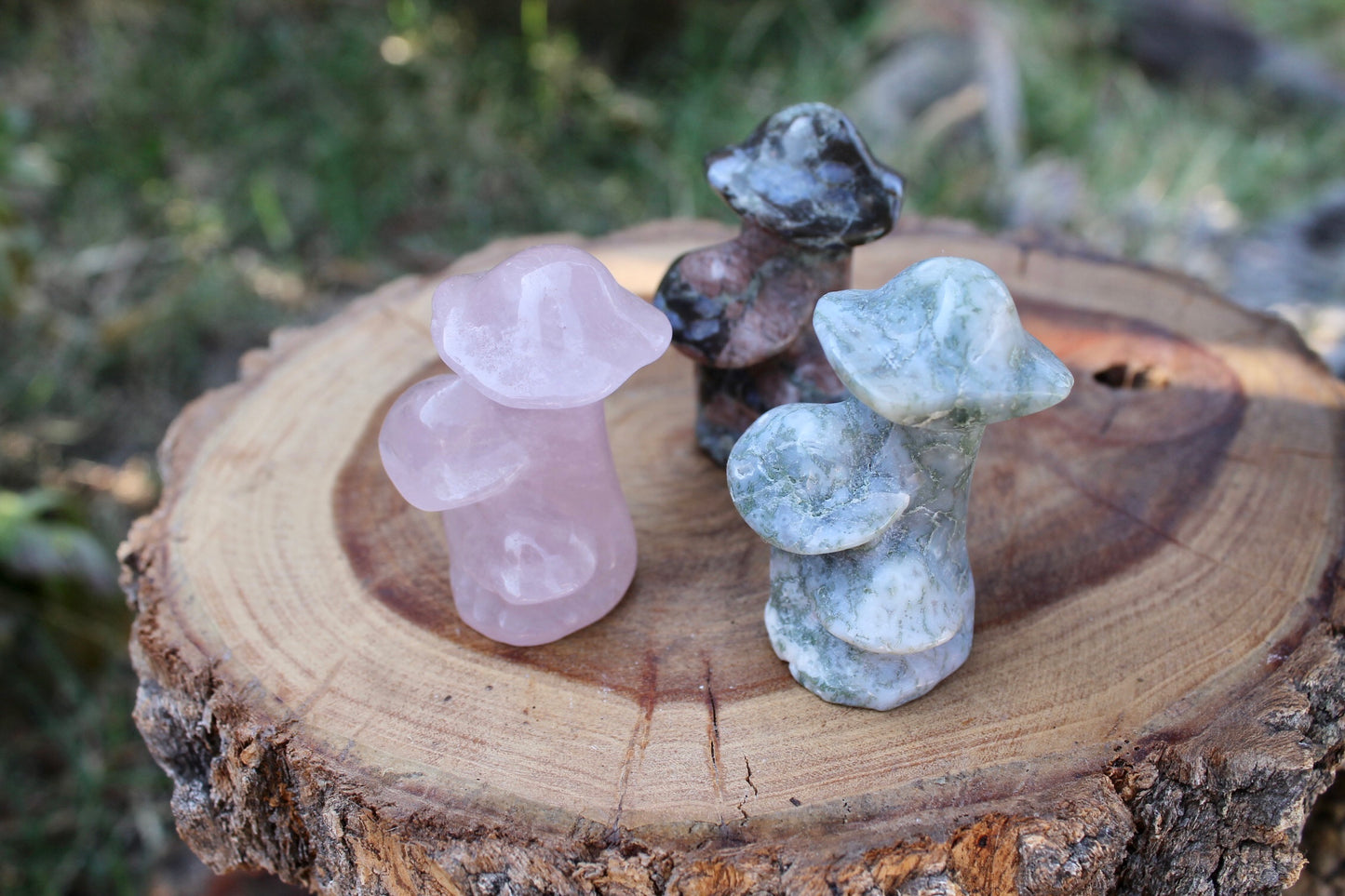 Mushroom crystals