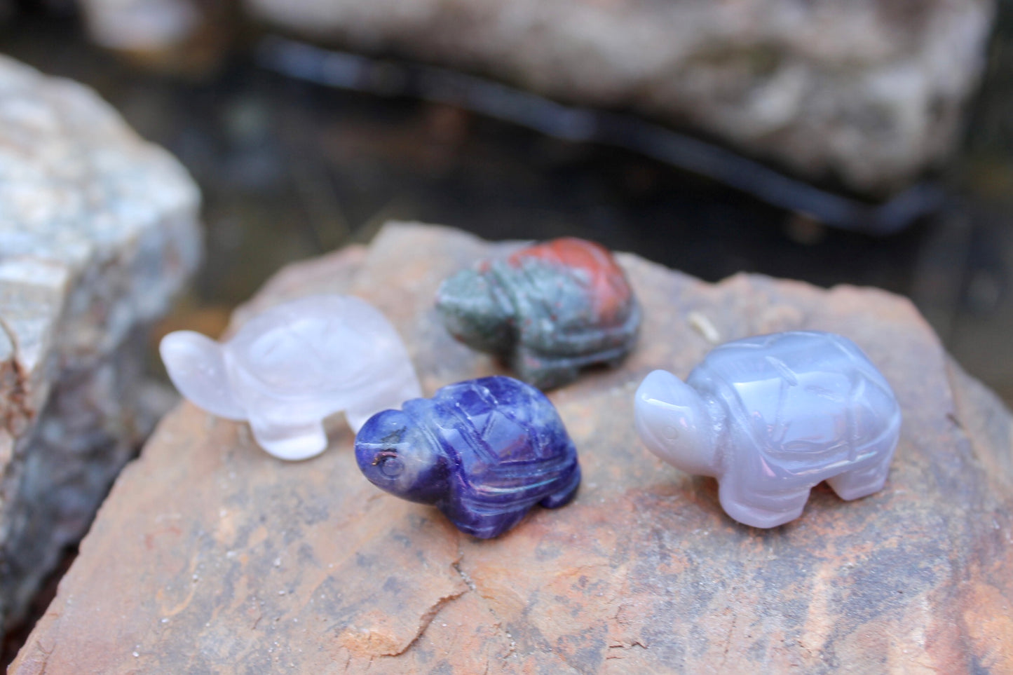 Crystal turtles