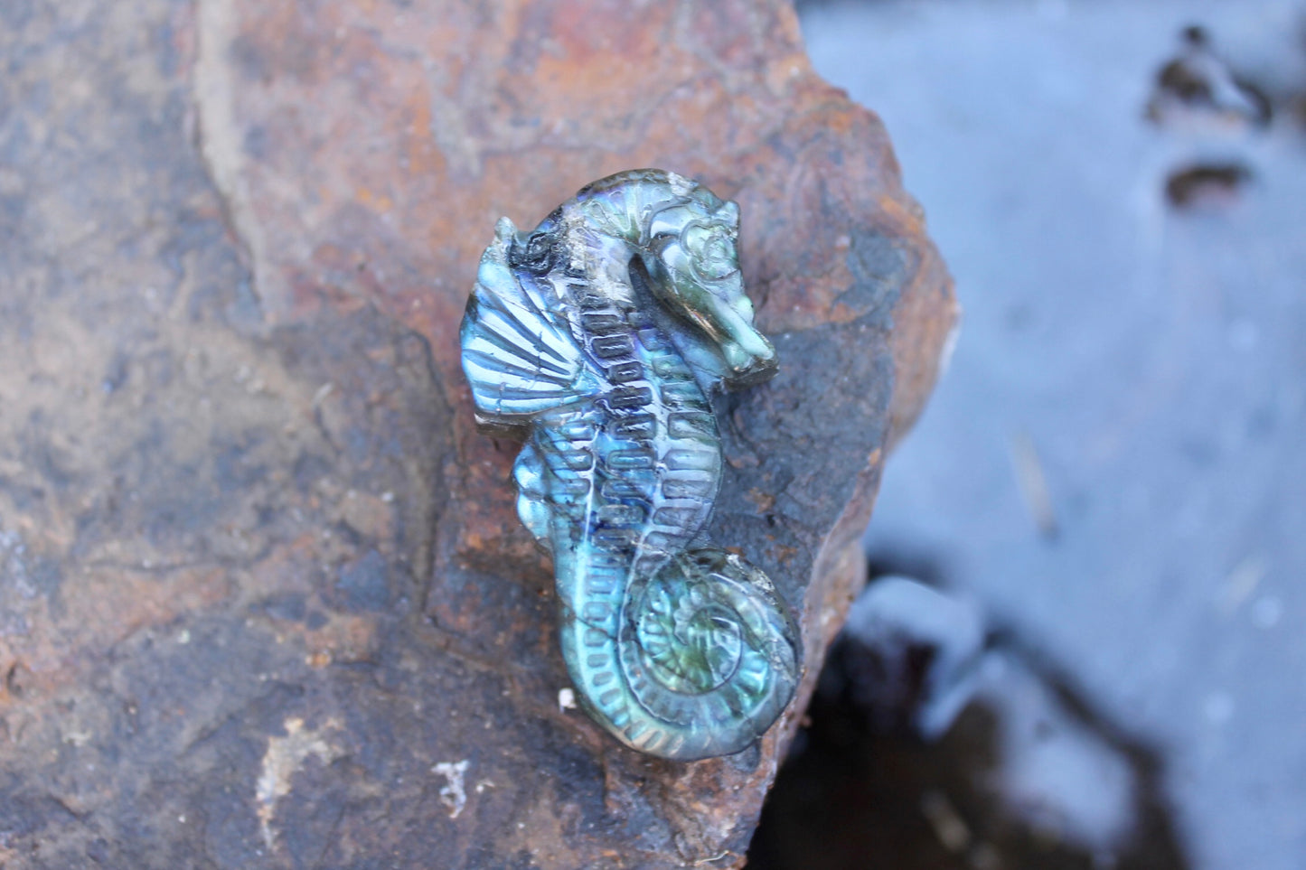 Labradorite crystal seahorse