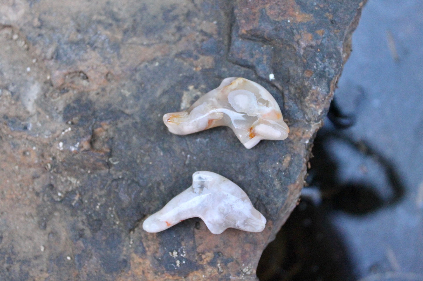 Flower agate crystal dolphins