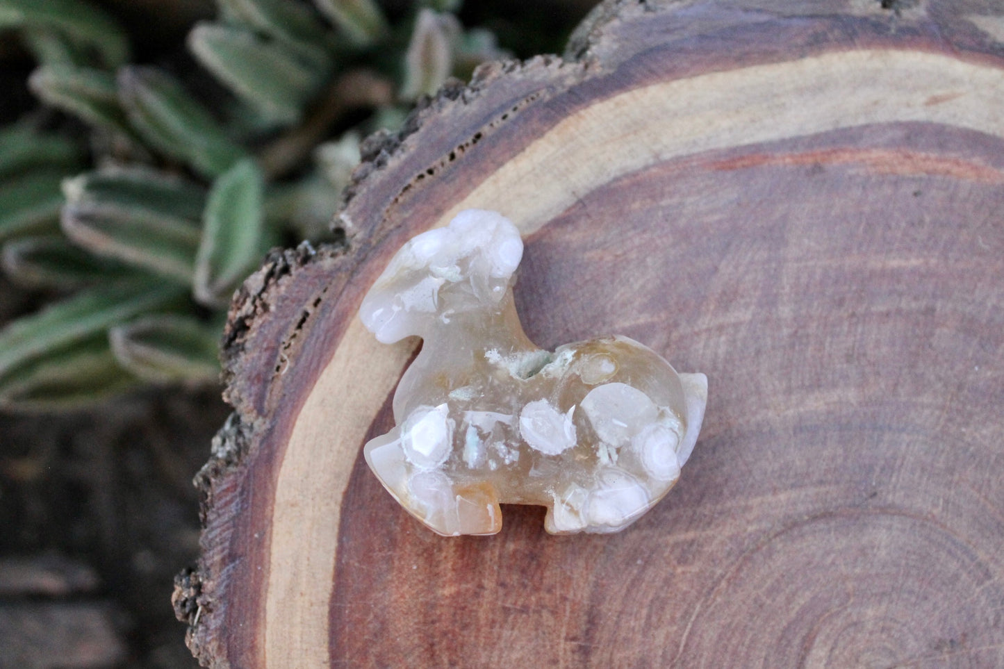 Flower agate crystal goat