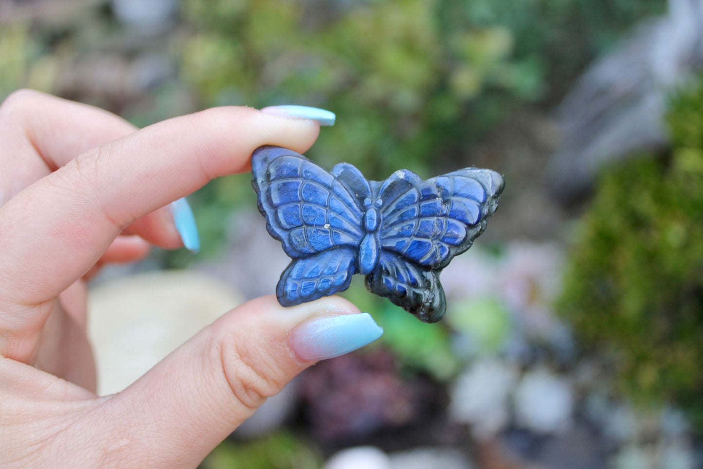 Labradorite crystal butterfly