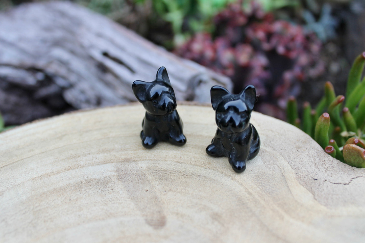 Obsidian crystal frenchies