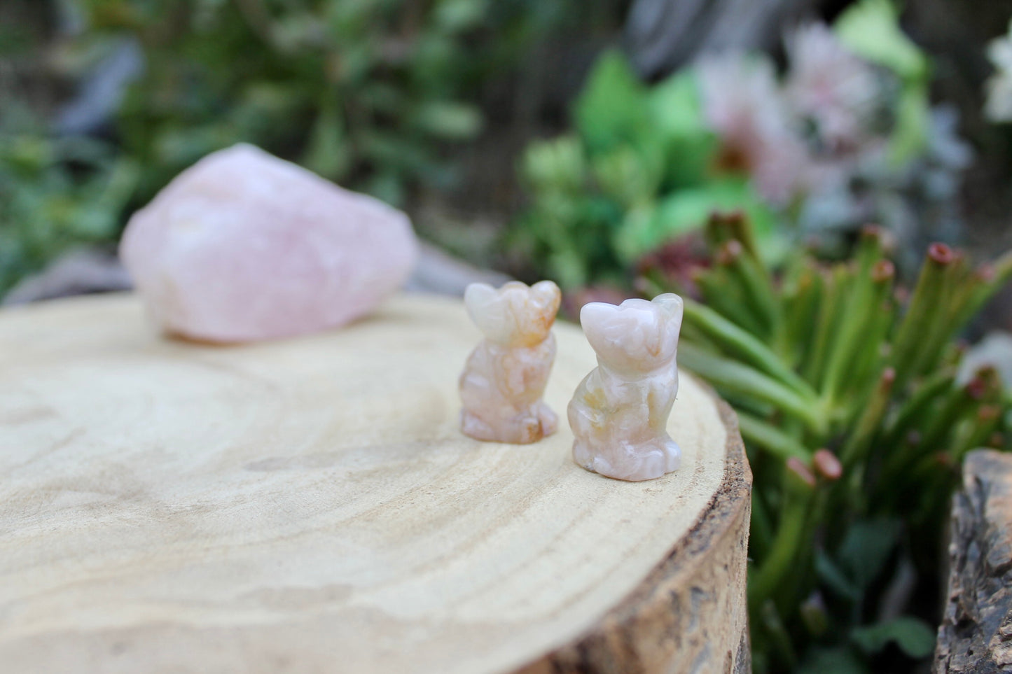 Flower agate crystal cats