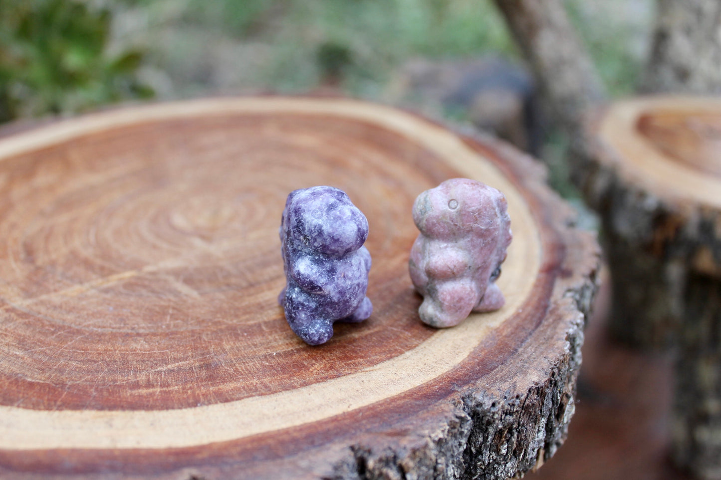Dinosaur crystals