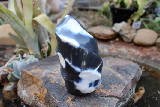 Orca crystal flame
