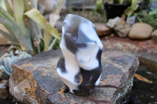 Orca crystal flame