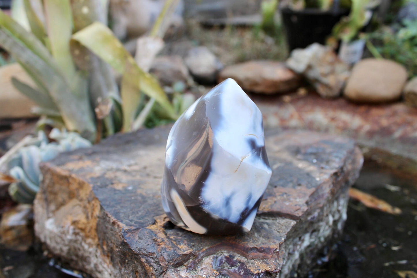 Orca crystal flame