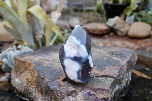 Orca crystal flame
