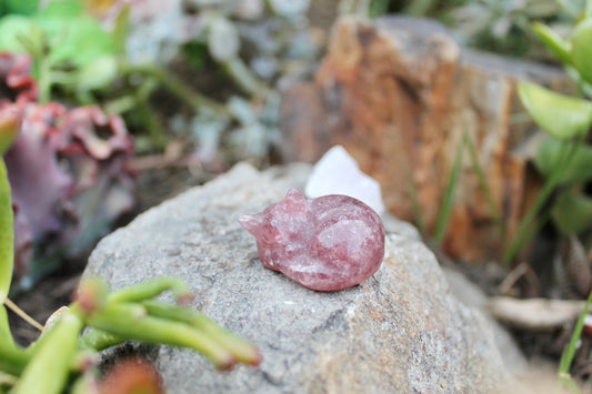 Strawberry quartz crystal sleeping cat